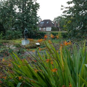 Crocosmia masoniorum