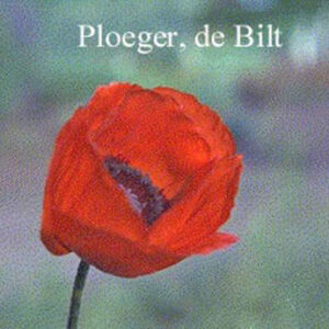 Papaver orientale 'Brilliant'